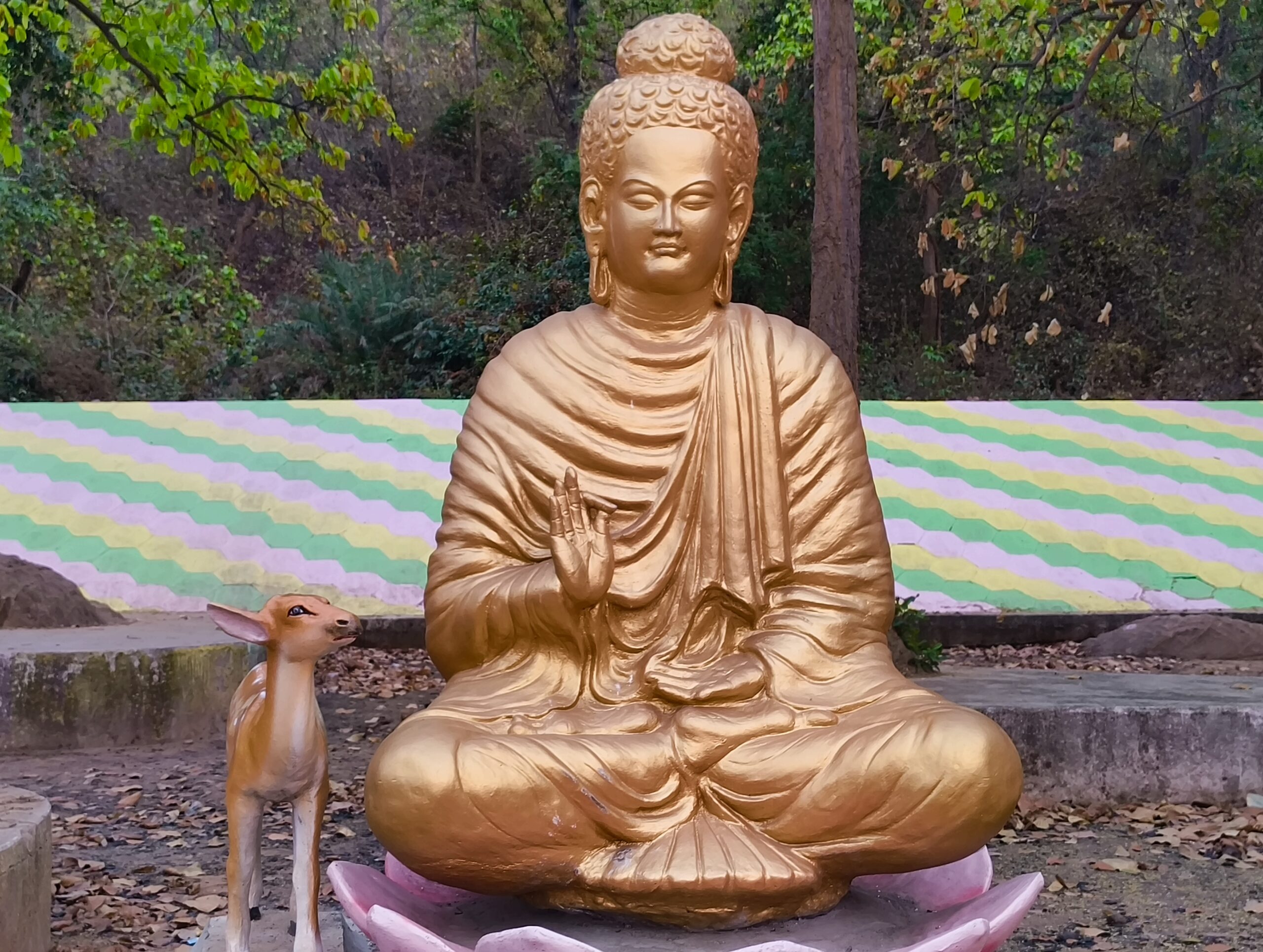 img 20250315 180121703[1]